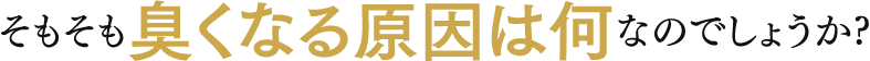 そもそも臭くなる原因は何なのでしょうか?
